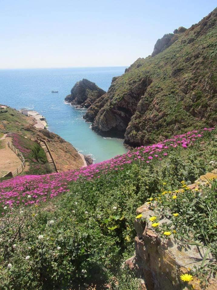 Tininha Da Ilha - Peniche Beach Escape المظهر الخارجي الصورة